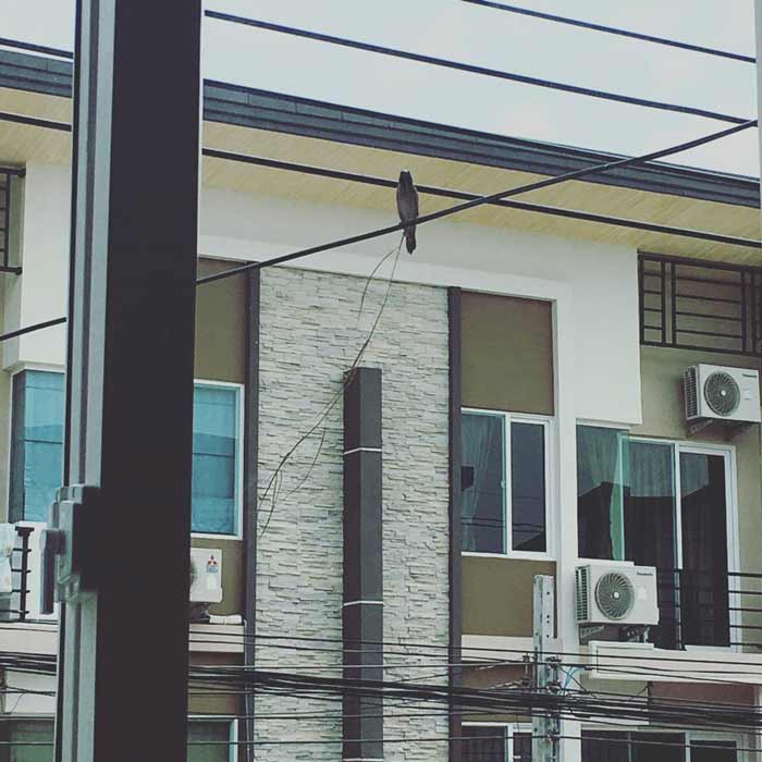 บ้านกอล์ฟ ฟักกลิ้งฮีโร่