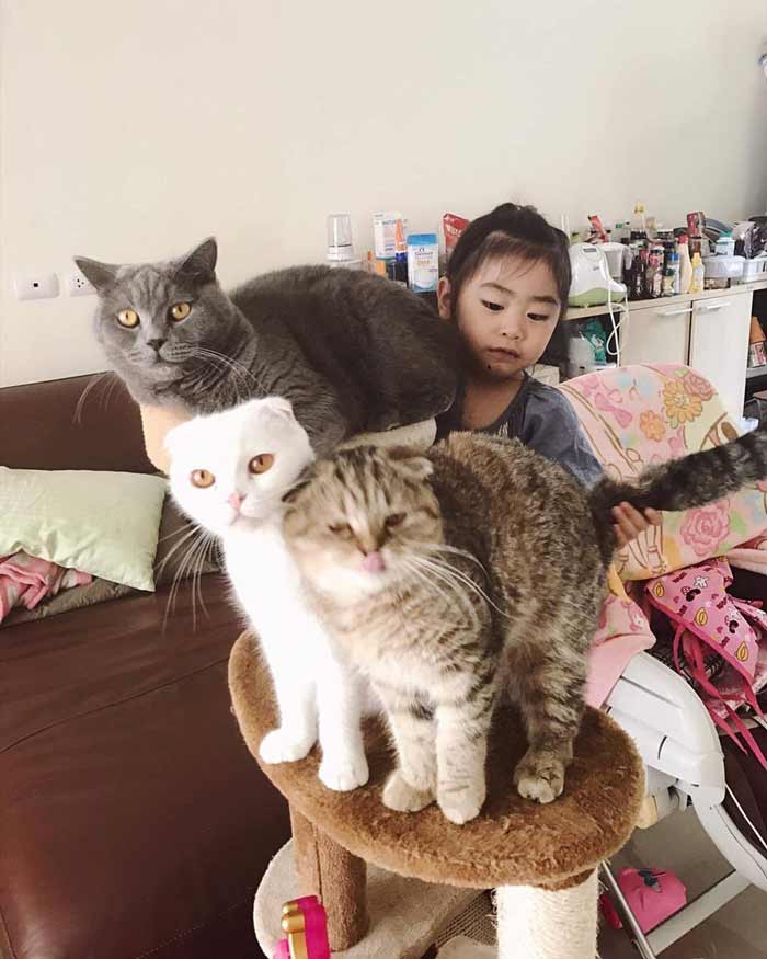 บ้านกอล์ฟ ฟักกลิ้งฮีโร่