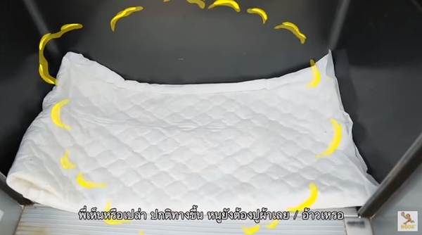 จั๊กจั่น อคัมย์สิริ