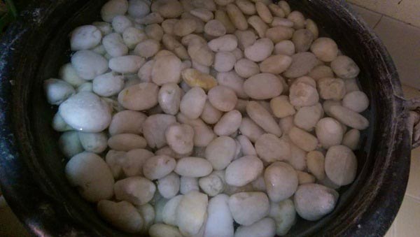 จัดสวนริมรั้ว