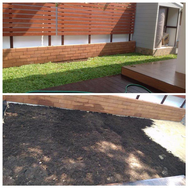 จัดสวนริมรั้ว