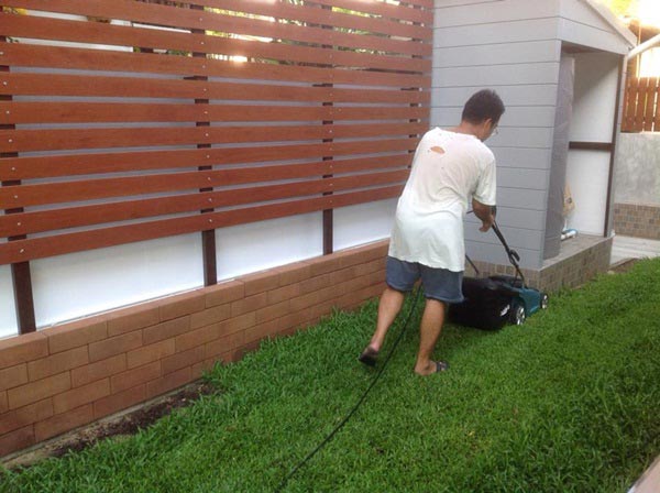 จัดสวนริมรั้ว