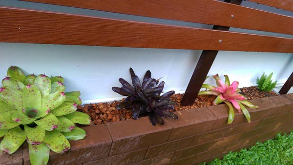 จัดสวนริมรั้ว