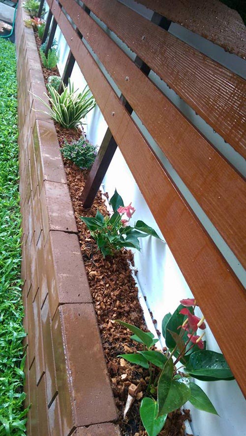 จัดสวนริมรั้ว