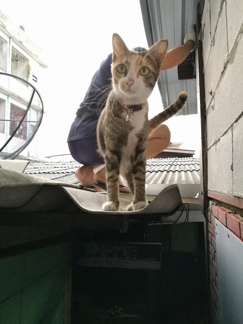 รีโนเวทบ้านชั้นเดียว