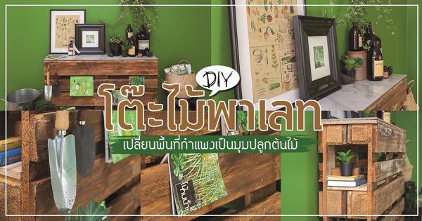 โต๊ะไม้พาเลท