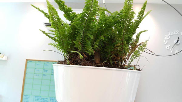 ต่อเติมชั้นลอย