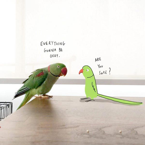 บ้าน โอ๋ ฟูตอง