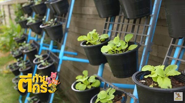 บ้าน ปอ AF7