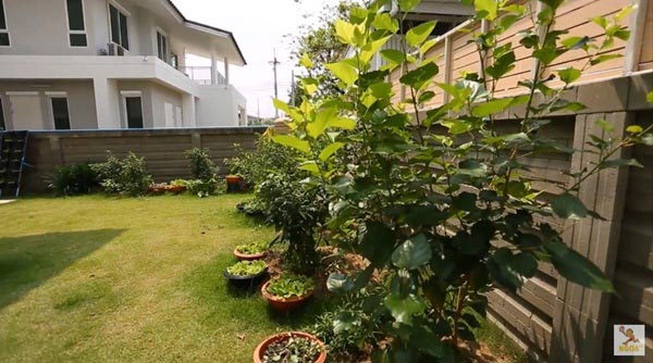 บ้าน ปอ AF7