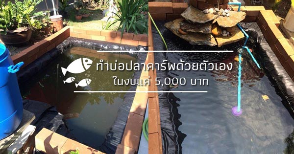 ทำบ่อปลาคาร์พด้วยตัวเอง