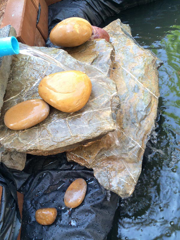 ทำบ่อปลาคาร์พด้วยตัวเอง