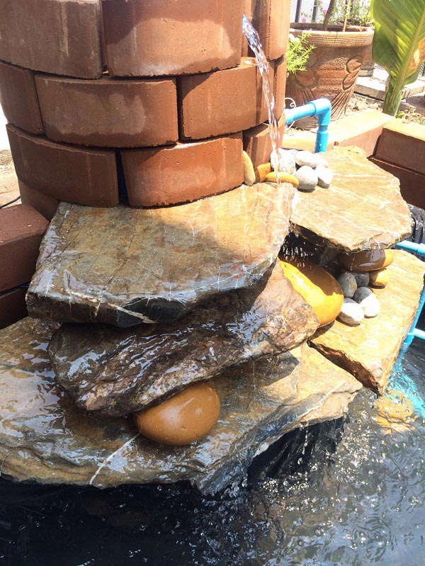 ทำบ่อปลาคาร์พด้วยตัวเอง