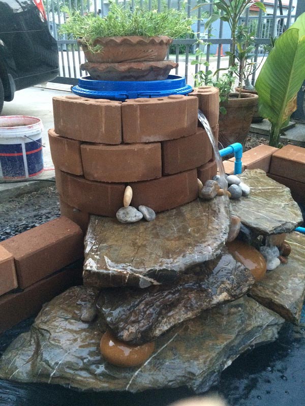 ทำบ่อปลาคาร์พด้วยตัวเอง