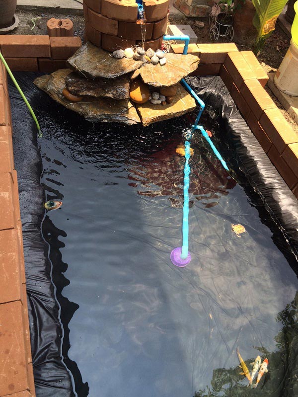 ทำบ่อปลาคาร์พด้วยตัวเอง