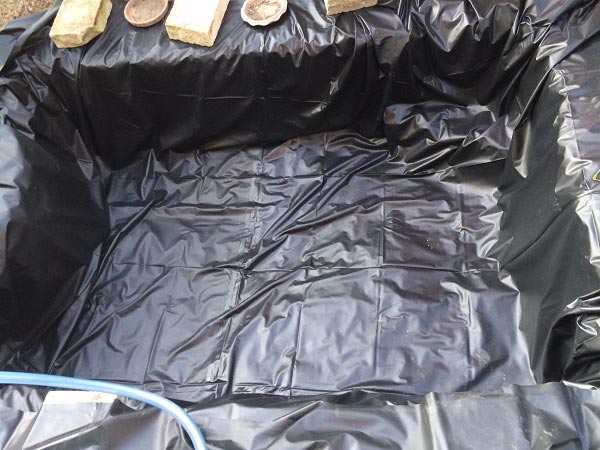 ทำบ่อปลาคาร์พด้วยตัวเอง