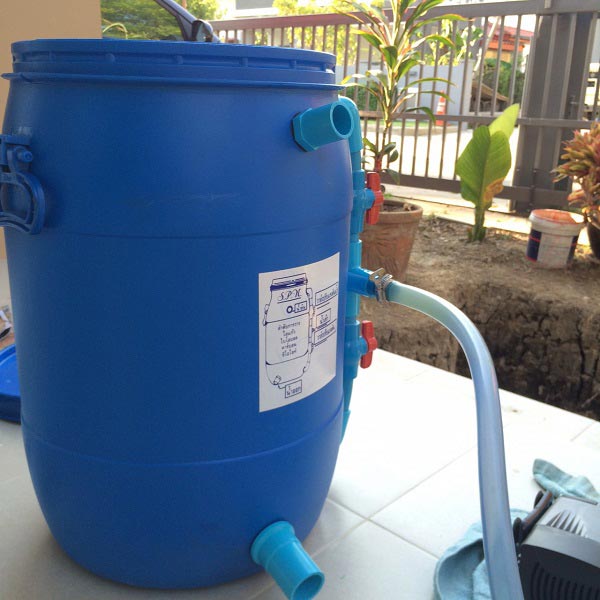 ทำบ่อปลาคาร์พด้วยตัวเอง