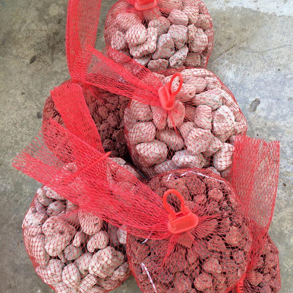 ทำบ่อปลาคาร์พด้วยตัวเอง