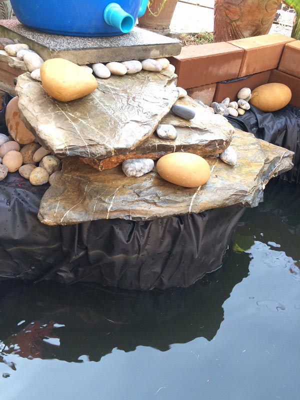 ทำบ่อปลาคาร์พด้วยตัวเอง