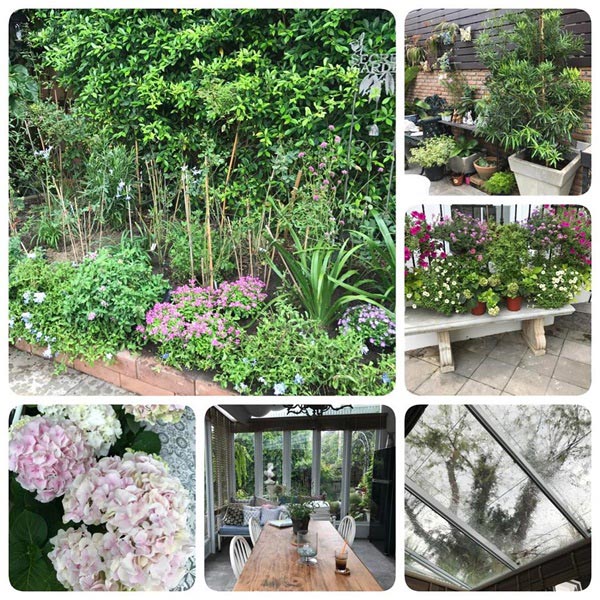 บ้าน ต่าย เพ็ญพักตร์