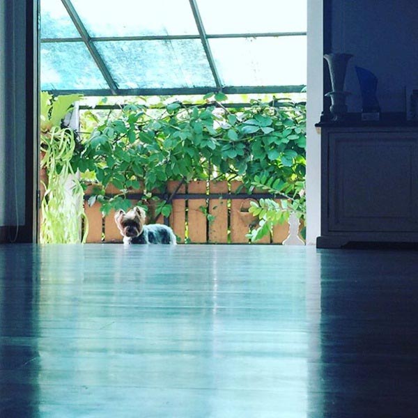 บ้าน ต่าย เพ็ญพักตร์