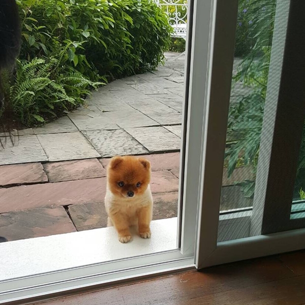 บ้าน ตั๊ก มยุรา เศวตศิลา