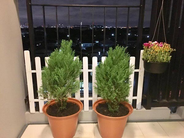 แต่งห้องคอนโด 2 ห้องนอน