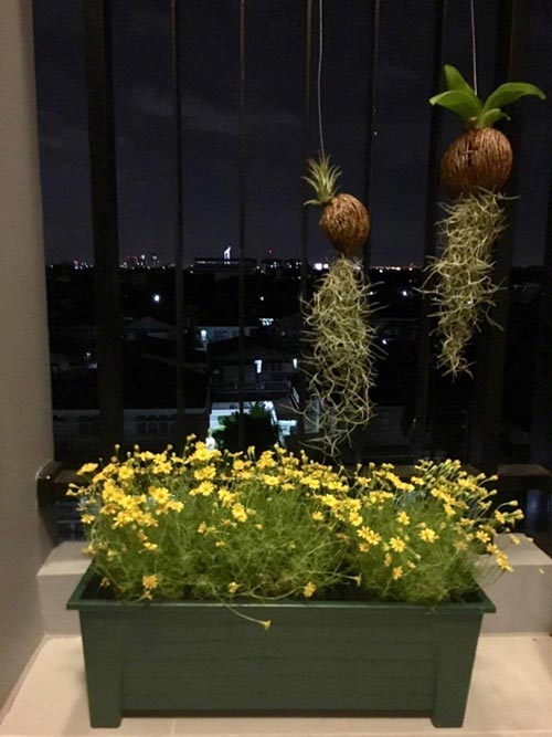 แต่งห้องคอนโด 2 ห้องนอน