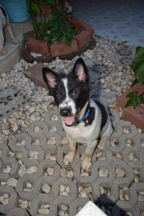 ตกแต่งทาวน์โฮม 2 ชั้น