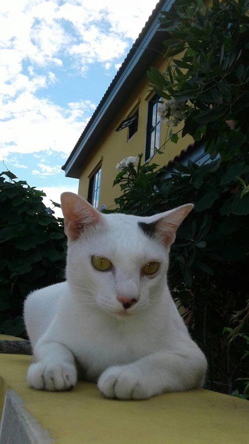 ตกแต่งทาวน์โฮม 2 ชั้น