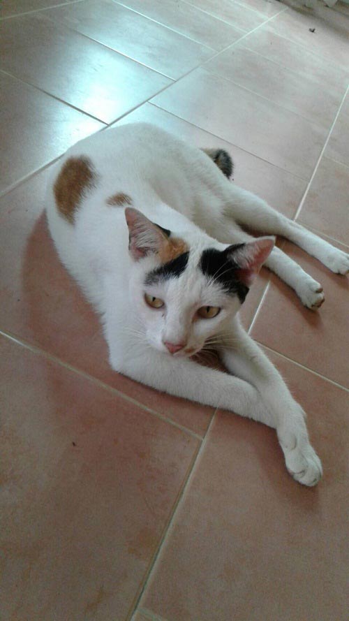 ตกแต่งทาวน์โฮม 2 ชั้น