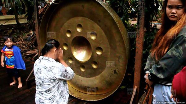 ต้นมะเดื่อยักษ์คำชะโนด