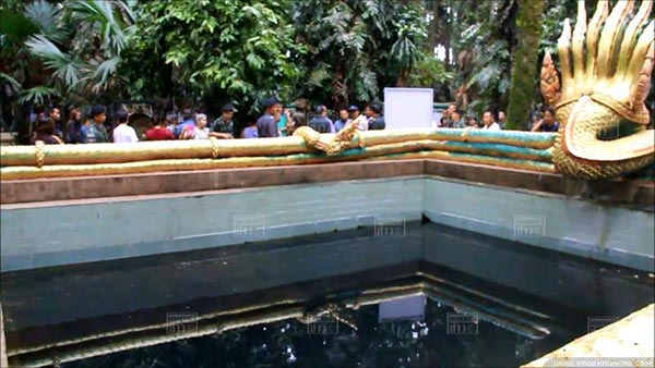 ต้นมะเดื่อยักษ์คำชะโนด