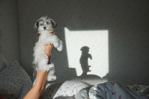 คอนโด ญาญ่า อุรัสยา