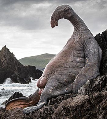 Star Wars The Last Jedi