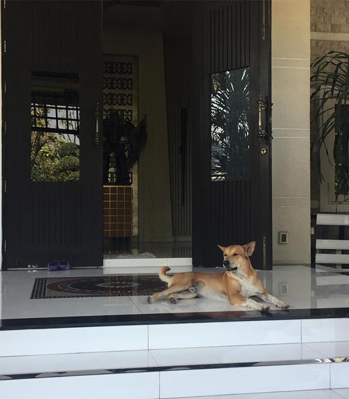 บ้านดาราตลก