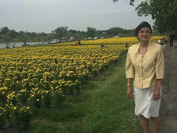 ทุ่งดอกดาวเรือง ลาดพร้าว