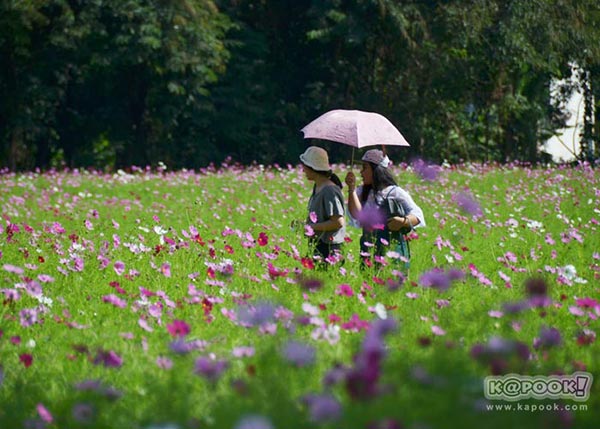 จิม ทอมป์สัน ฟาร์มทัวร์ 2560