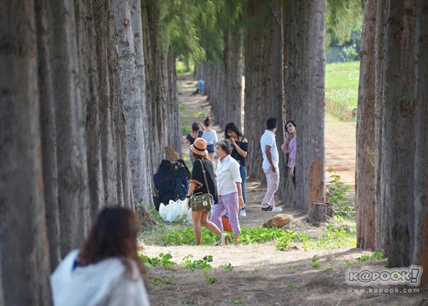 จิม ทอมป์สัน ฟาร์มทัวร์ 2560