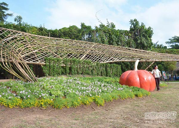 จิม ทอมป์สัน ฟาร์มทัวร์ 2560