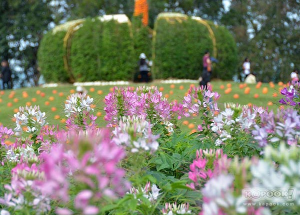 จิม ทอมป์สัน ฟาร์มทัวร์ 2560