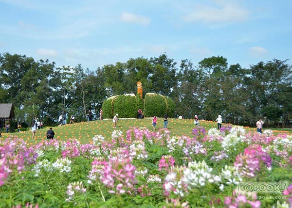 จิม ทอมป์สัน ฟาร์มทัวร์ 2560