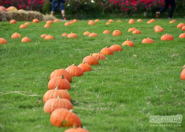 จิม ทอมป์สัน ฟาร์มทัวร์ 2560