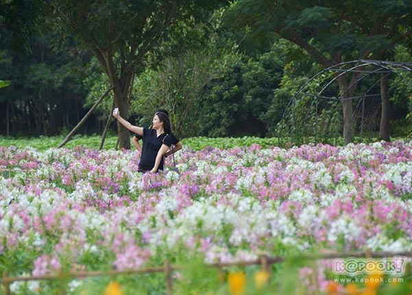 จิม ทอมป์สัน ฟาร์มทัวร์ 2560