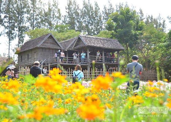 จิม ทอมป์สัน ฟาร์มทัวร์ 2560