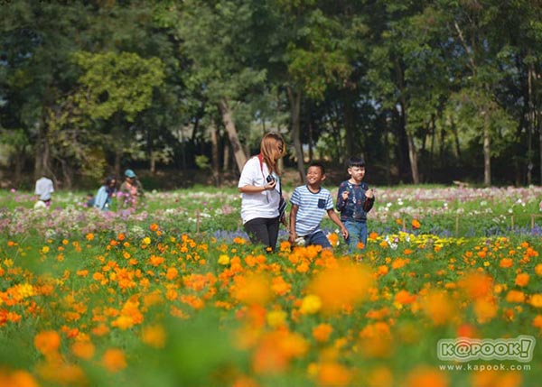 จิม ทอมป์สัน ฟาร์มทัวร์ 2560