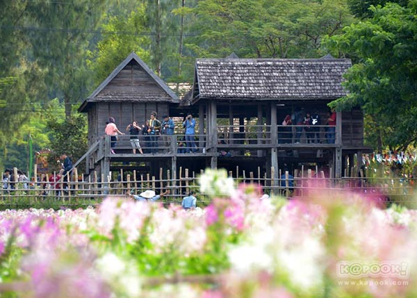 จิม ทอมป์สัน ฟาร์มทัวร์ 2560