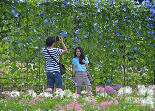 จิม ทอมป์สัน ฟาร์มทัวร์ 2560