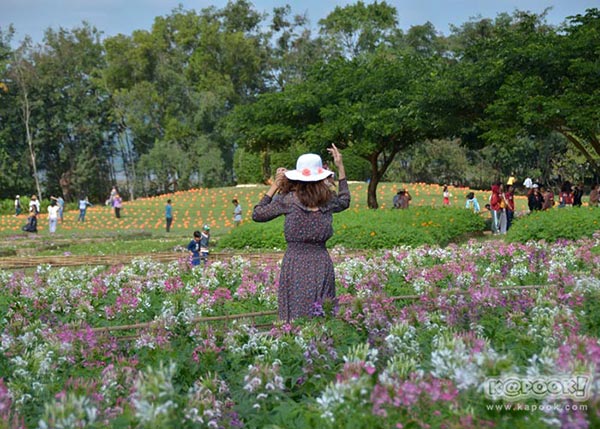 จิม ทอมป์สัน ฟาร์มทัวร์ 2560