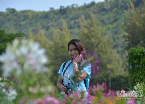 จิม ทอมป์สัน ฟาร์มทัวร์ 2560